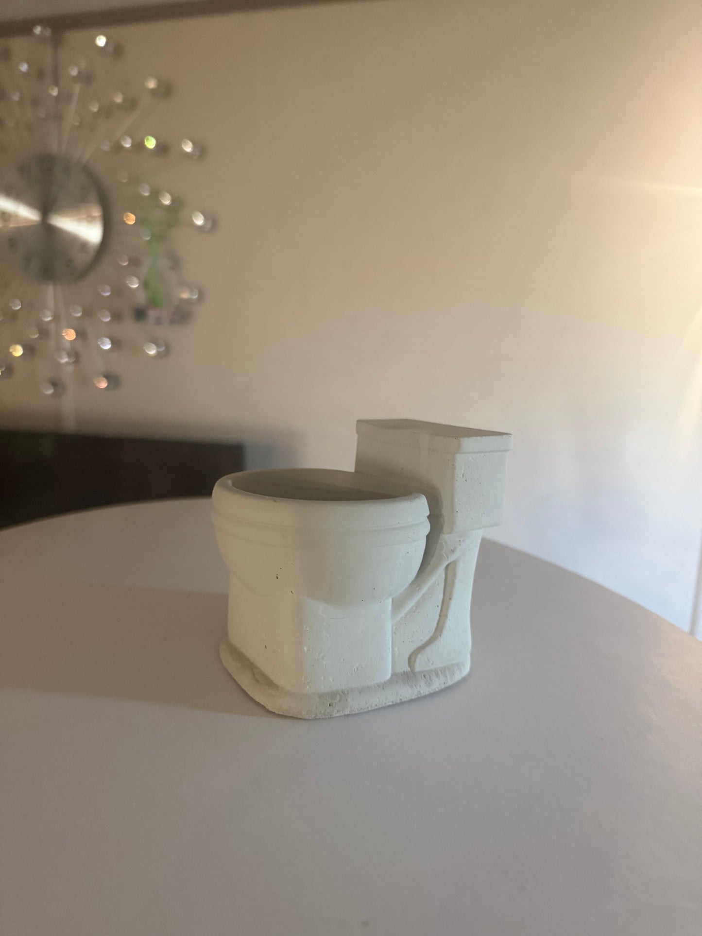 Cement toilet succulent flower pot