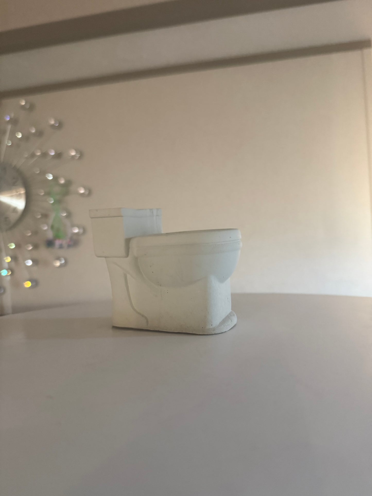 Cement toilet succulent flower pot