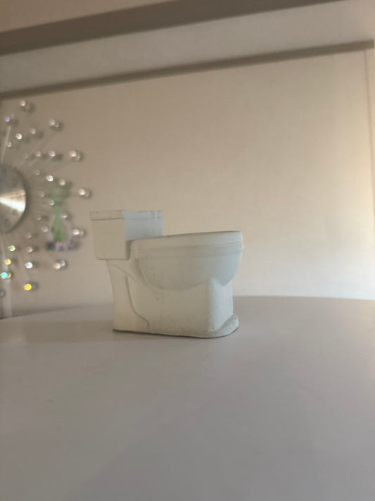 Cement toilet succulent flower pot
