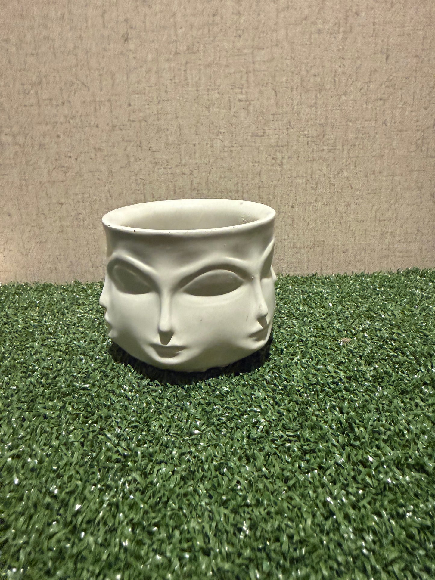 Face succulent  planter