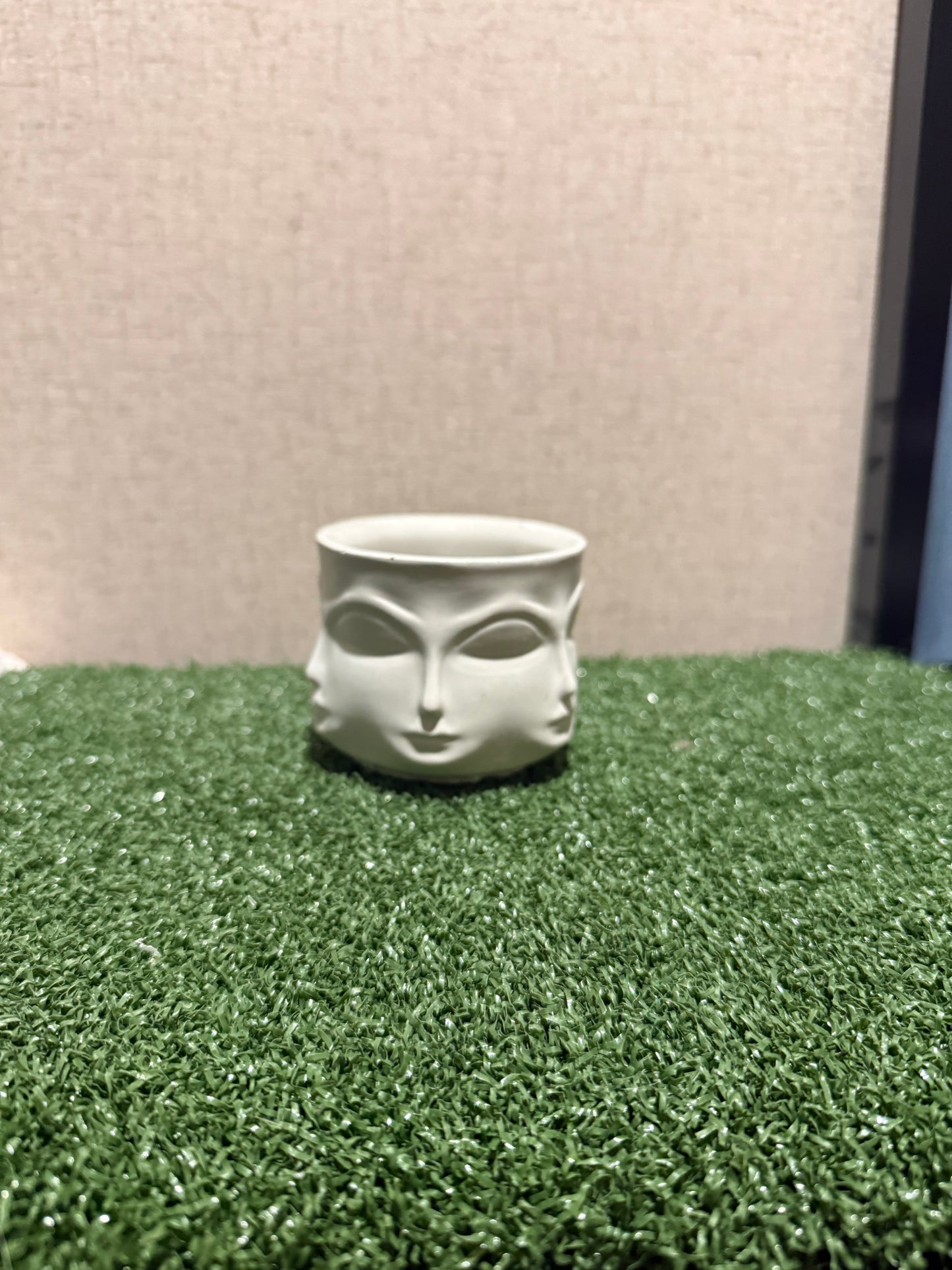 Face succulent  planter