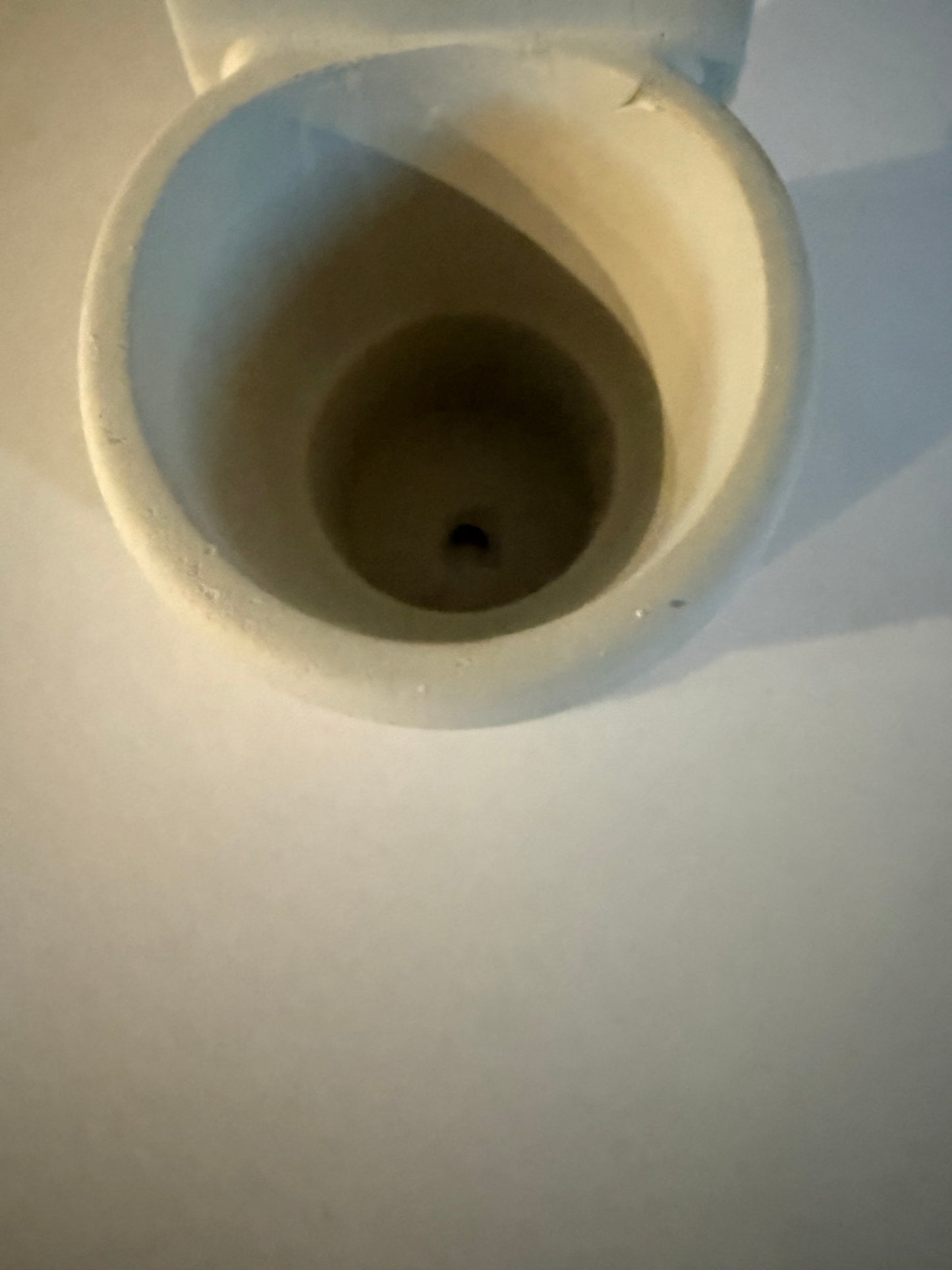 Cement toilet succulent flower pot